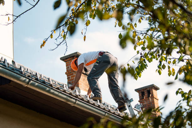 Best Roof Gutter Cleaning  in Pine Lake Park, NJ